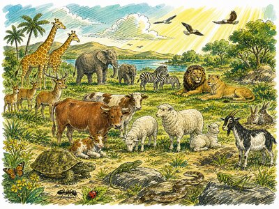 Illustration til Første Mosebog 1:25