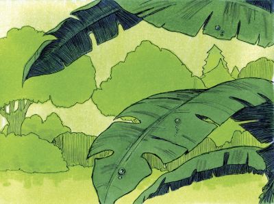 Illustration til Første Mosebog 1:29