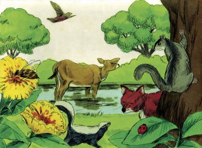 Illustration for Genesis 1:30