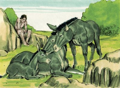 Illustration til Første Mosebog 2:20