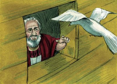 Illustration til Første Mosebog 8:9