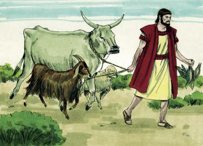 Illustration for Genesis 15:9
