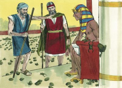 Illustration for Exodus 8:8