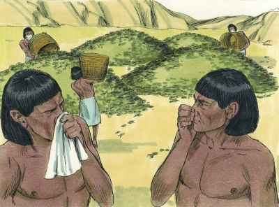 Illustration for Exodus 8:12