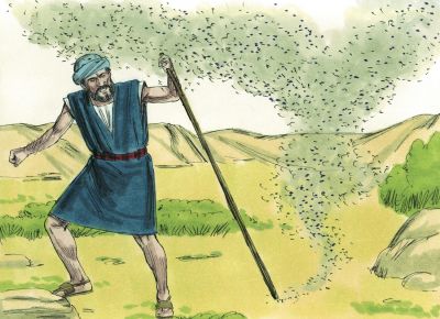 Illustration for Exodus 8:16