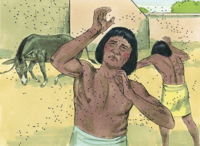 Illustration for Exodus 8:17
