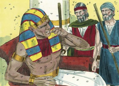 Illustration for Exodus 8:25