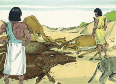 Illustration for Exodus 9:5