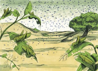 Illustration for Exodus 10:12