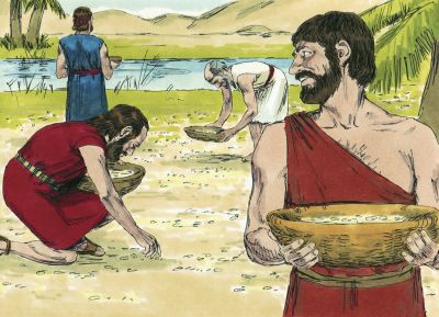 Illustration for Exodus 16:21