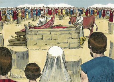 Illustration for Leviticus 1:1