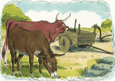 Illustration for Deuteronomy 22:1
