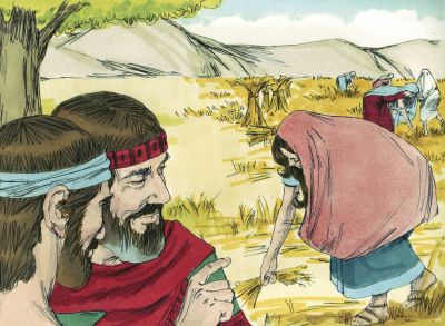Illustration for Ruth 2:15