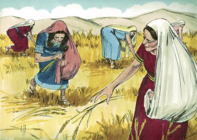 Illustration for Ruth 2:22