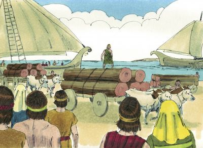 Illustration for 2 Samuel 5:11