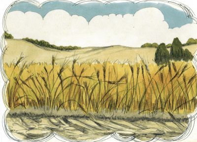 Illustration for Matthew 13:3