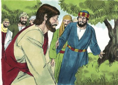 Illustration for Mark 3:13