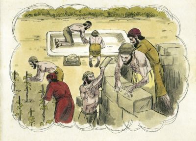 Illustration for Mark 12:1