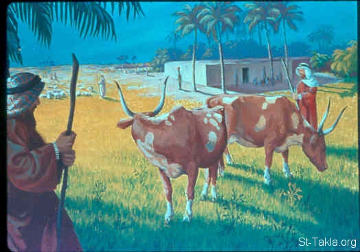 Illustration for Exodus 1:7