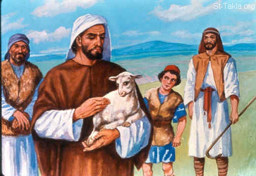 Illustration for Ezekiel 34:11