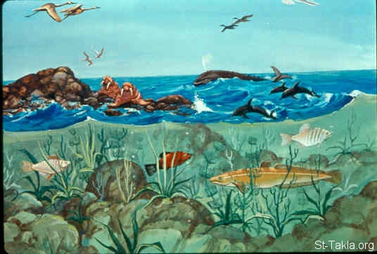 Illustration til Første Mosebog 1:21