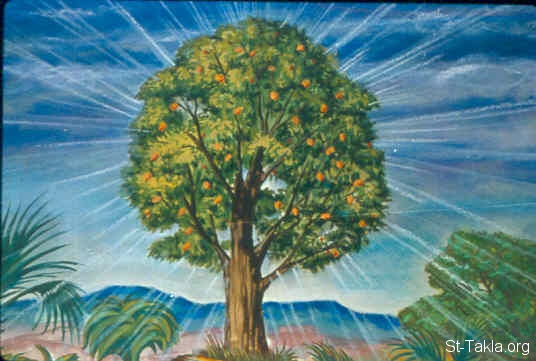 Illustration til Første Mosebog 2:9