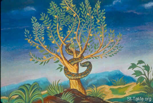 Illustration til Første Mosebog 2:9