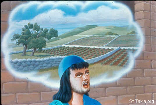 Illustration for Isaiah 5:2
