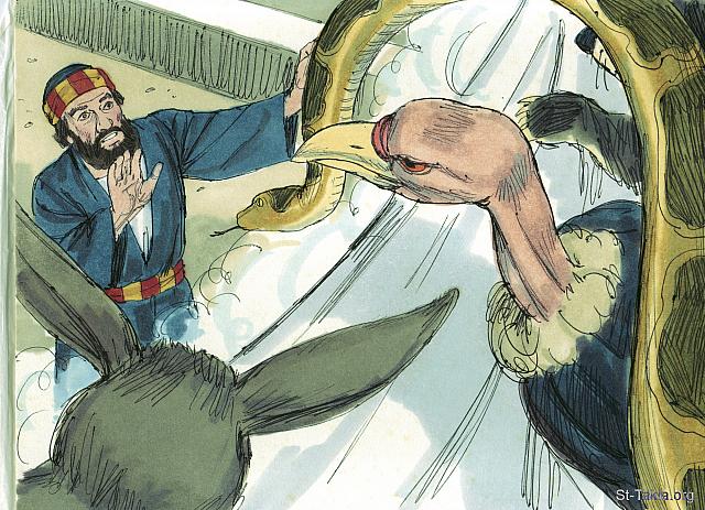 Illustration for Acts 10:15