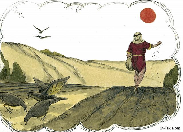Illustration for Matthew 13:3