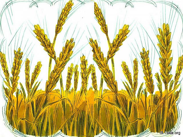 Illustration for Matthew 13:3