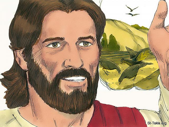 Illustration for Matthew 13:3