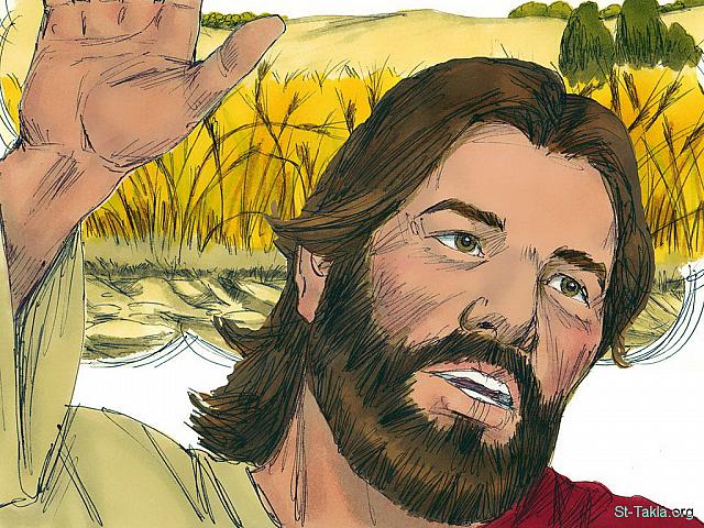 Illustration for Matthew 13:3