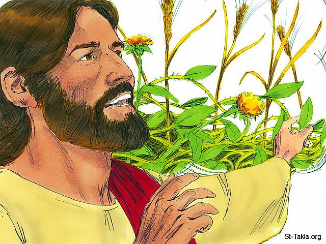 Illustration for Matthew 13:3