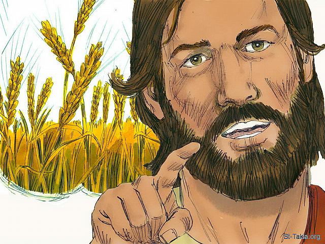 Illustration for Matthew 13:3