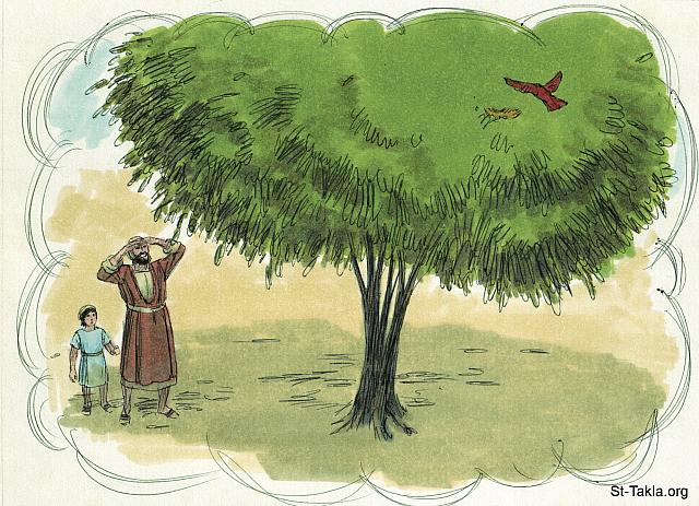Illustration for Luke 13:19